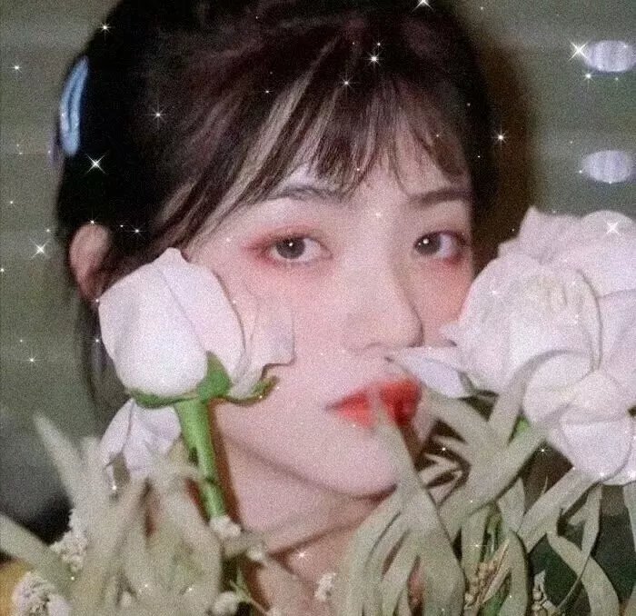 老广的味道第二季